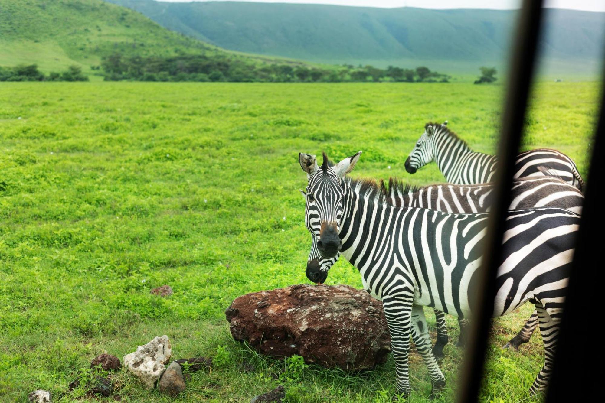Ngorongoro Lodge Member Of Melia Collection - The Leading Hotels Of The World Екстер'єр фото