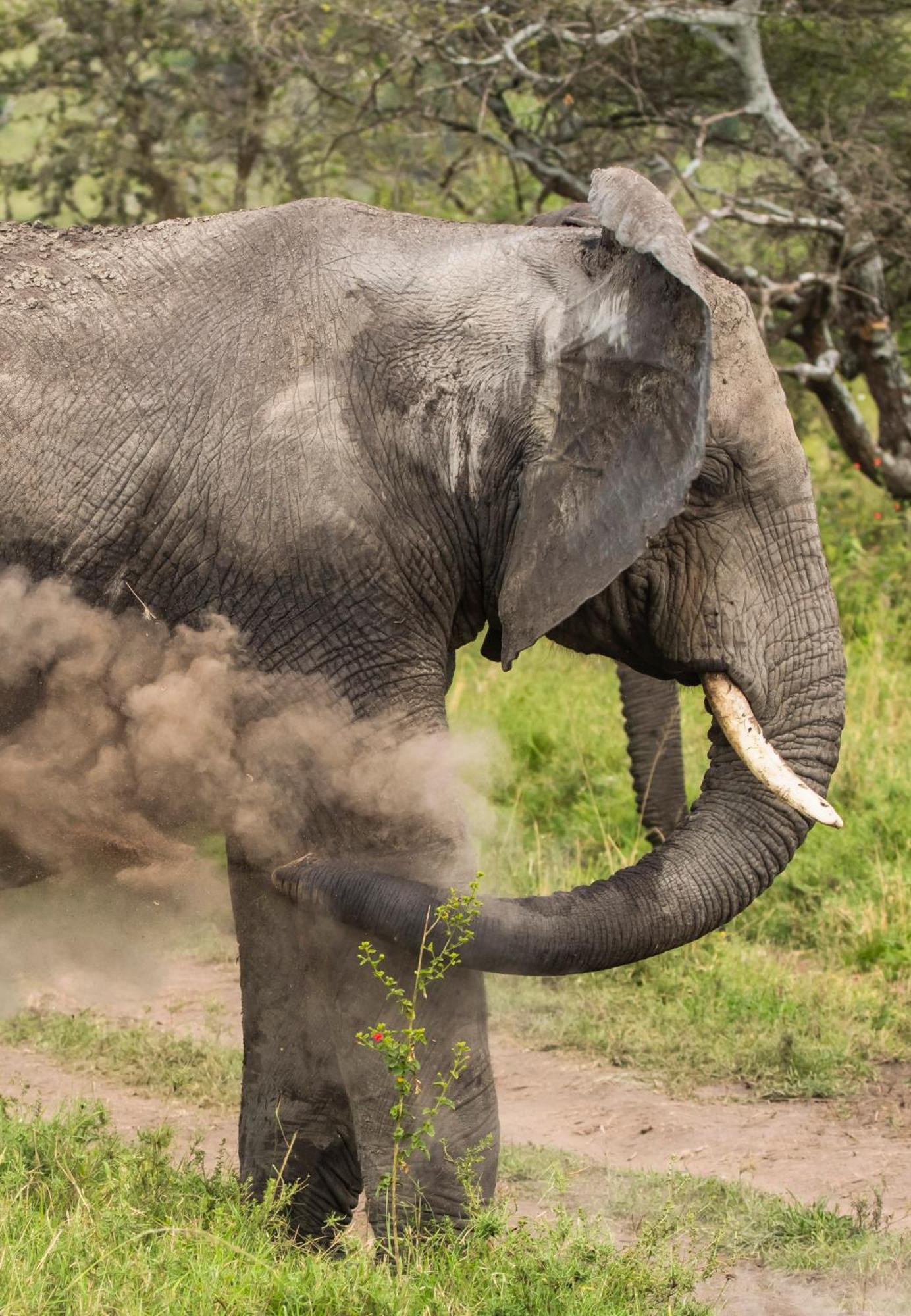 Ngorongoro Lodge Member Of Melia Collection - The Leading Hotels Of The World Екстер'єр фото